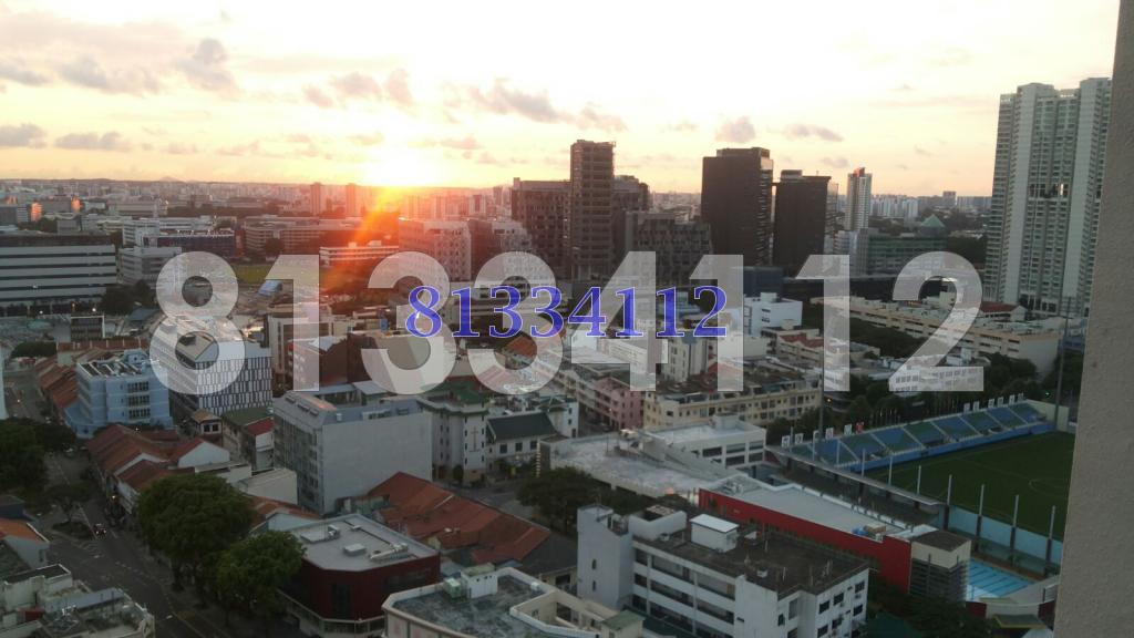 City Square Residences (D8), Condominium #88523982